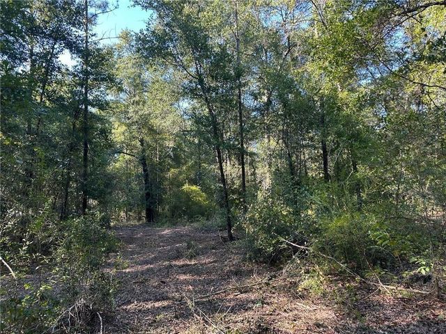 00 Newman Road, Mobile, AL 36695