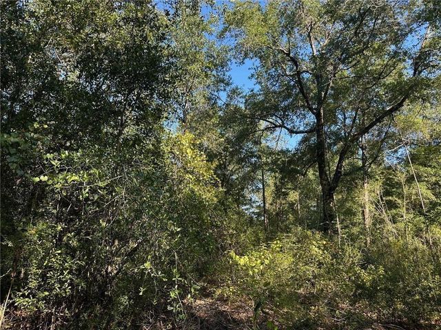 00 Newman Road, Mobile, AL 36695