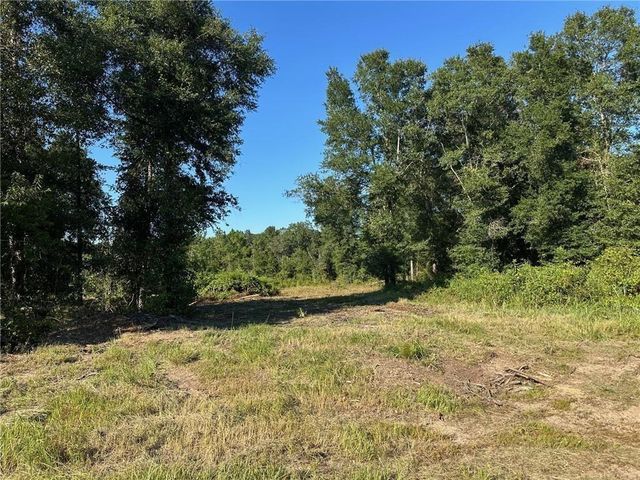 00 Newman Road, Mobile, AL 36695