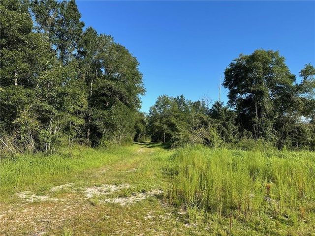 00 Newman Road, Mobile, AL 36695
