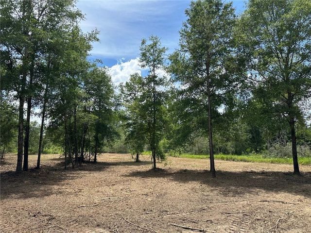 00 Newman Road, Mobile, AL 36695