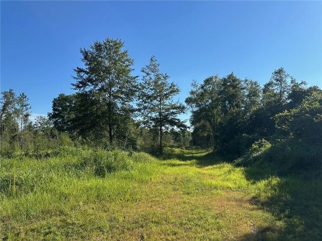 00 Newman Road, Mobile, AL 36695