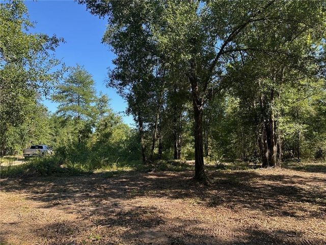00 Newman Road, Mobile, AL 36695