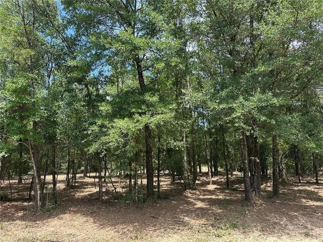 00 Newman Road, Mobile, AL 36695