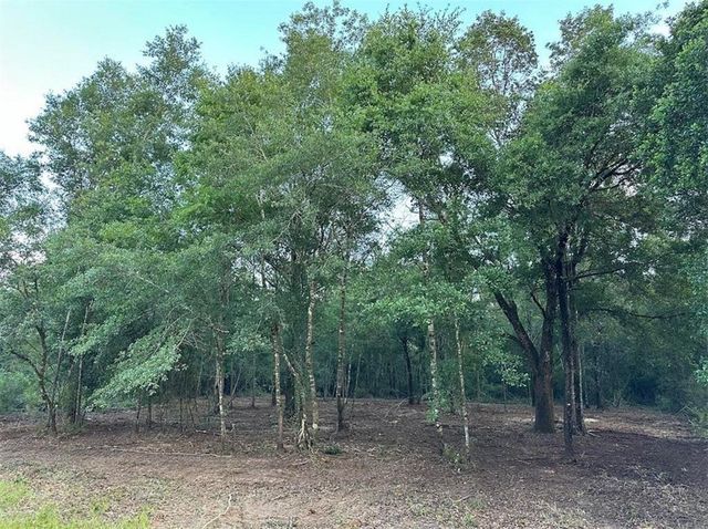 00 Newman Road, Mobile, AL 36695