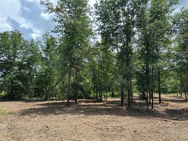 00 Newman Road, Mobile, AL 36695