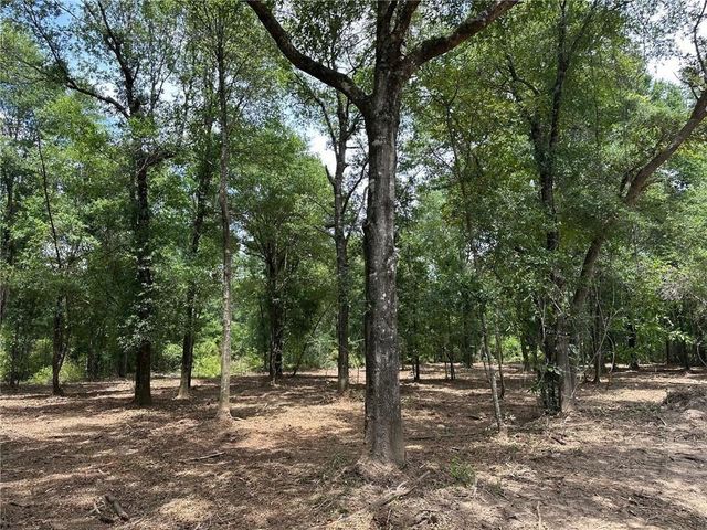 00 Newman Road, Mobile, AL 36695