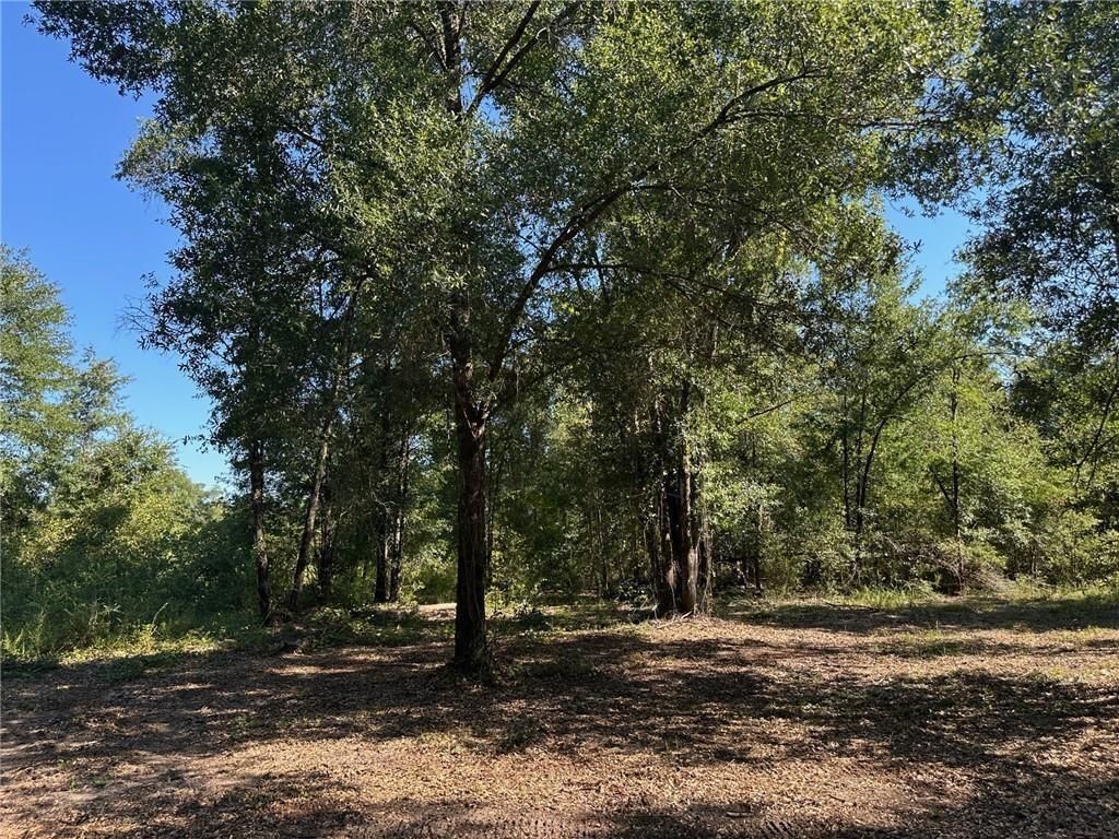 00 Newman Road, Mobile, AL 36695