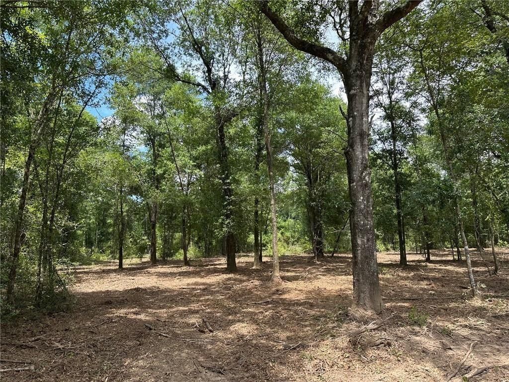 0 Newman Road, Mobile, AL 36695 — photo 2