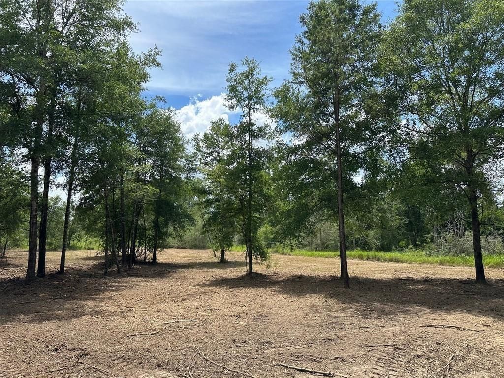 0 Newman Road, Mobile, AL 36695 — photo 3