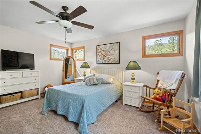 28781 Shadow Mountain Drive, Conifer, CO 80433
