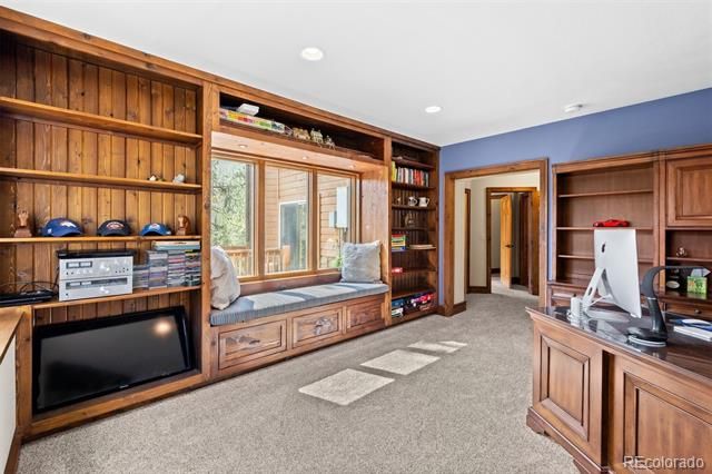 28781 Shadow Mountain Drive, Conifer, CO 80433