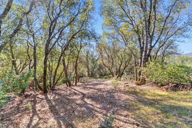 12655 Newell Pl, Grass Valley, CA 95949