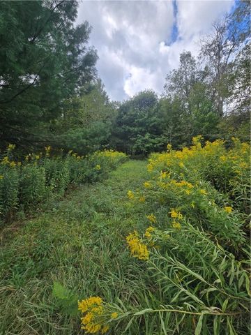 11521 Rehm Road, Florence, NY 13316