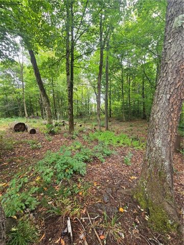 11521 Rehm Road, Florence, NY 13316