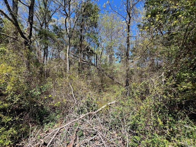 00 County Line Road, Rose Bud, AR 72137
