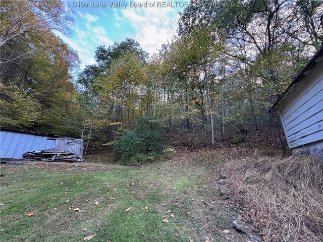 225 Laxton Hollow Road, Maysel, WV 25133