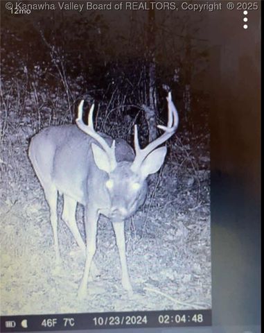 225 Laxton Hollow Road, Maysel, WV 25133