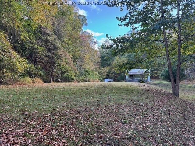 225 Laxton Hollow Road, Maysel, WV 25133