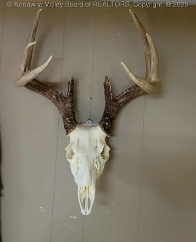 225 Laxton Hollow Road, Maysel, WV 25133