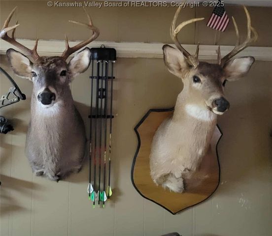 225 Laxton Hollow Road, Maysel, WV 25133