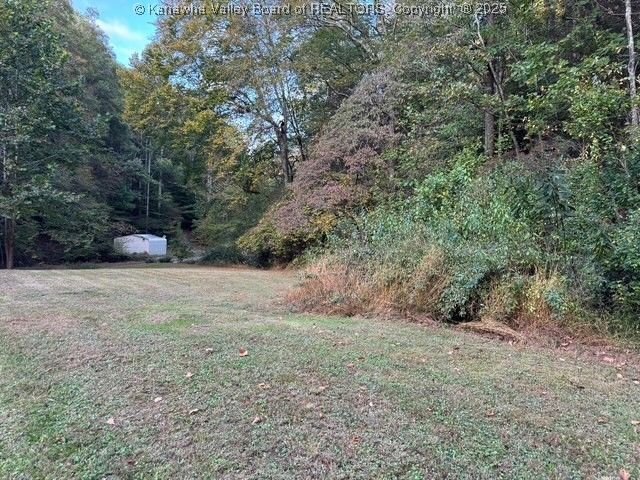 225 Laxton Hollow Road, Maysel, WV 25133