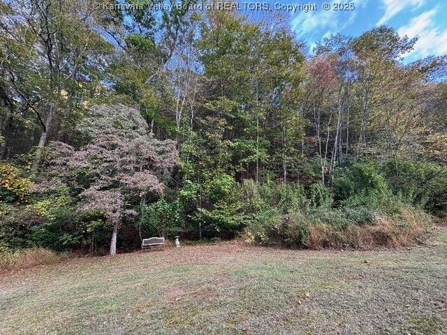 225 Laxton Hollow Road, Maysel, WV 25133