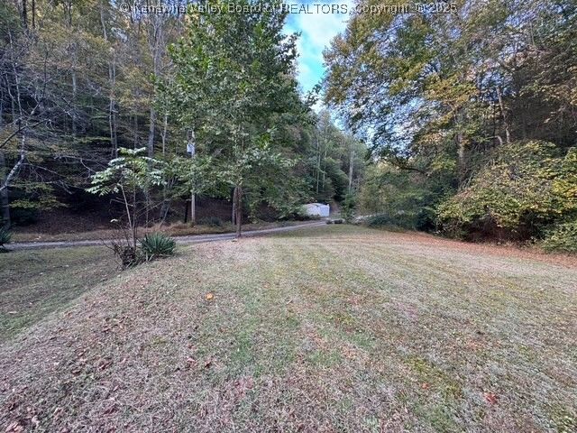 225 Laxton Hollow Road, Maysel, WV 25133