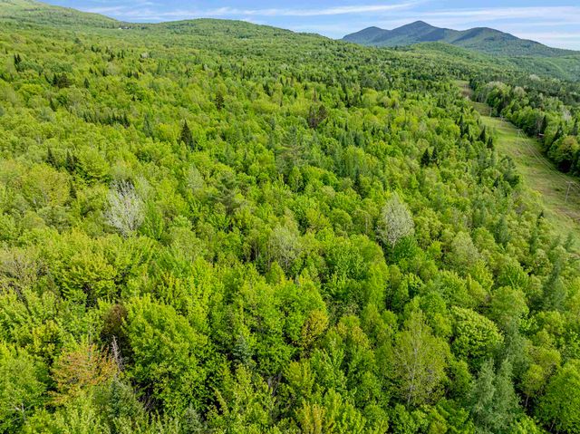 Lot 8 Off US Route 3, Columbia, NH 03576