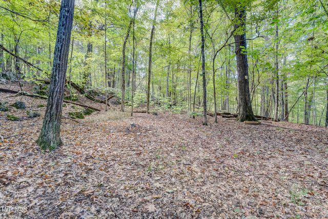 192 Stage Road, Kingsport, TN 37664