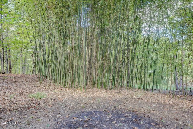 192 Stage Road, Kingsport, TN 37664