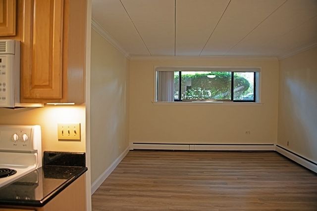 50 Water St 17, Medford, MA 02155