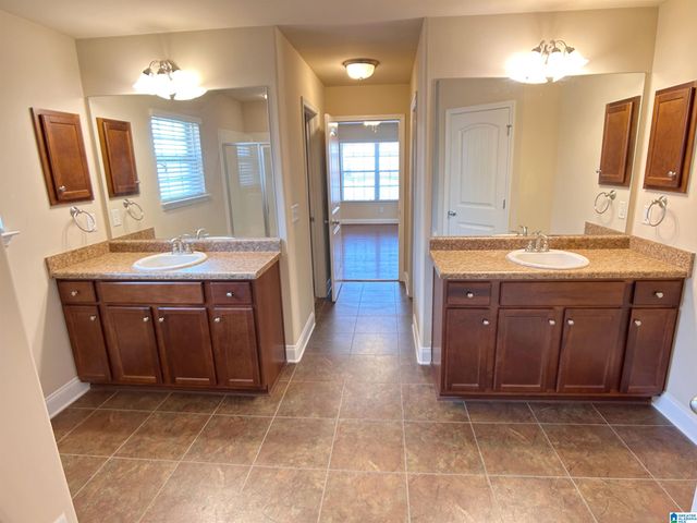 317 GOLDEN MEADOWS PLACE, Alabaster, AL 35007