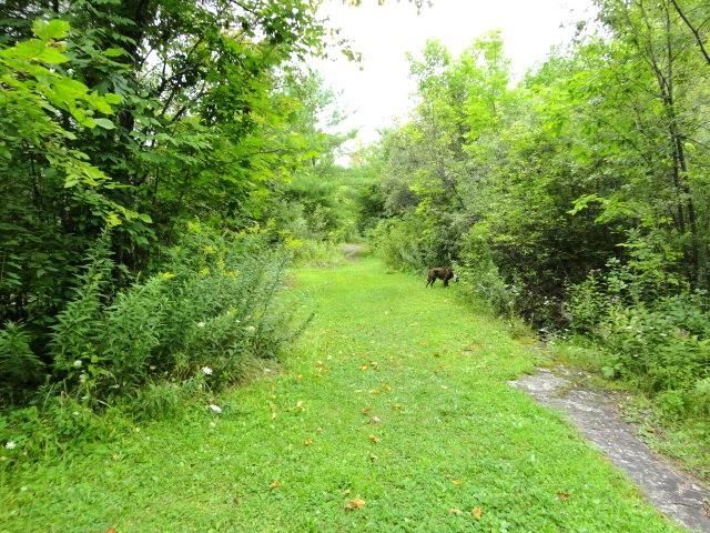 95 Crescent Road, Burlington, VT 05401