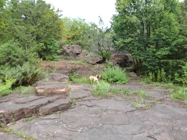 95 Crescent Road, Burlington, VT 05401