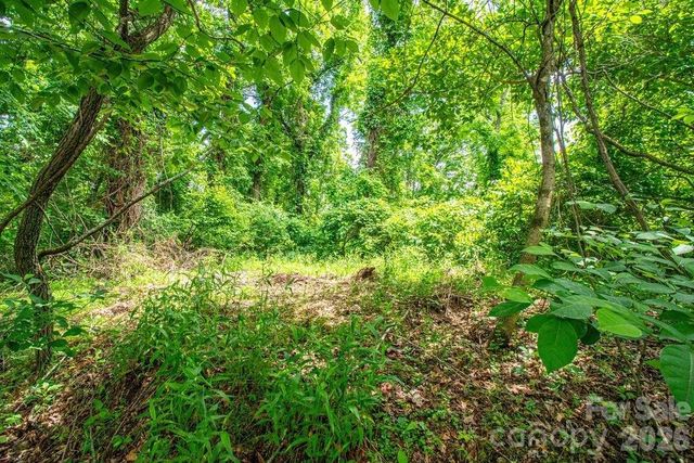 9999 Sandy Mush Creek Road, Leicester, NC 28748