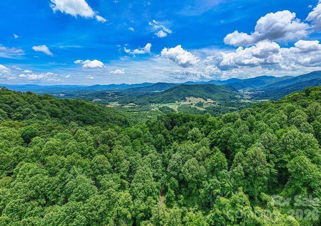 9999 Sandy Mush Creek Road, Leicester, NC 28748