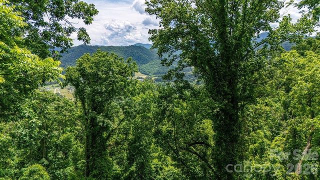 9999 Sandy Mush Creek Road, Leicester, NC 28748