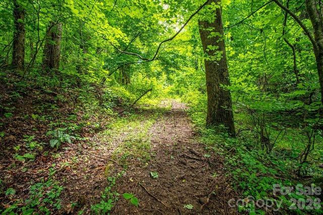9999 Sandy Mush Creek Road, Leicester, NC 28748