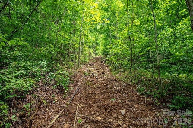 9999 Sandy Mush Creek Road, Leicester, NC 28748