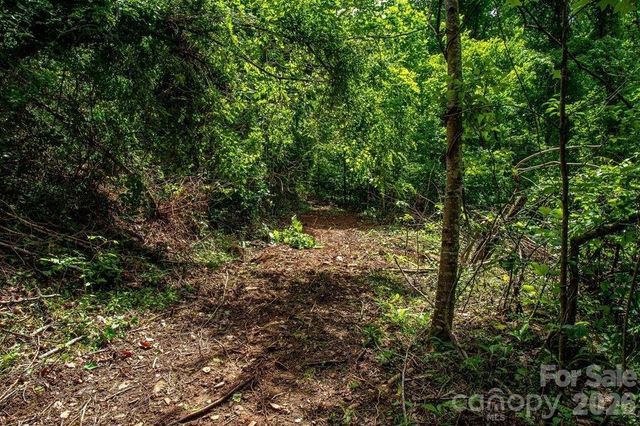 9999 Sandy Mush Creek Road, Leicester, NC 28748