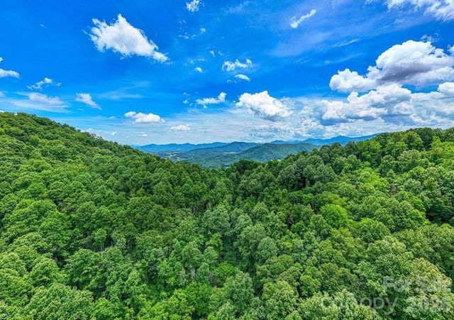 9999 Sandy Mush Creek Road, Leicester, NC 28748