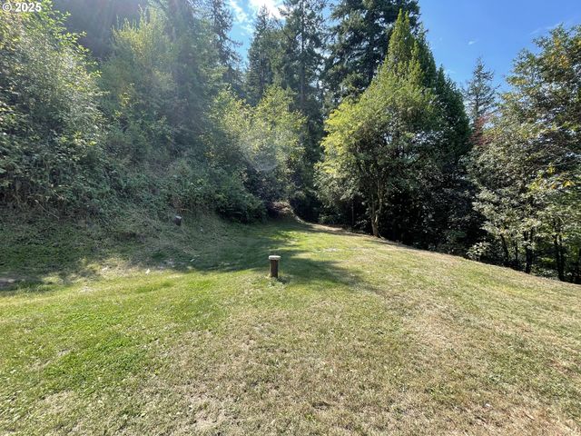 53621 WEEKLY CREEK Rd, Myrtle Point, OR 97458