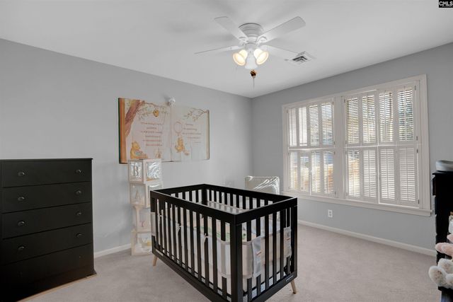 1152 Indian Summer Point, Chapin, SC 29036