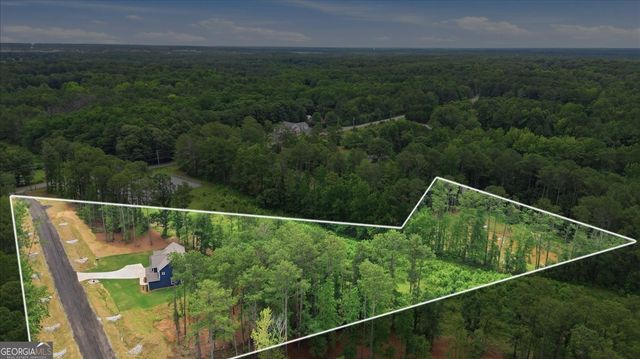 2470 Fischer Road, Sharpsburg, GA 30277