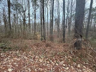 1089 Damascus Drive, Ball Ground, GA 30107