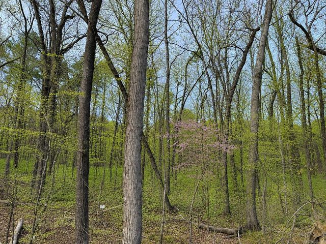 7166 Moon View Place, Alexander, AR 72019
