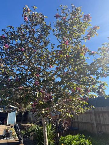 1361 E Oak Street, Fort Bragg, CA 95437