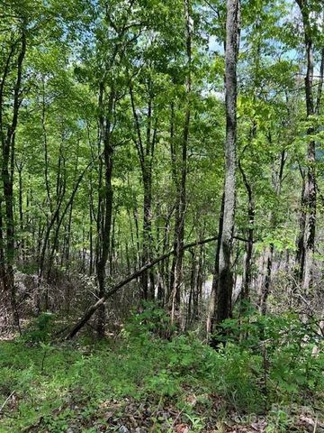 Lot 8 Falls View Drive, Bryson City, NC 28713