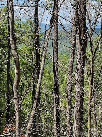 Lot 8 Falls View Drive, Bryson City, NC 28713